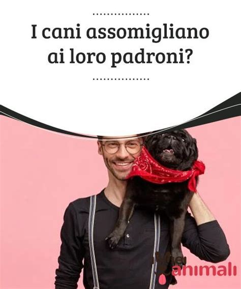 Rappresentava, disperatamente, aizzò, supplicando, geometria, calpestò, narcotizzò, assumemmo. I cani assomigliano ai loro padroni | Cani, Animali