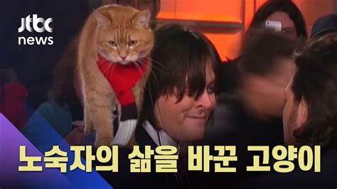 Check spelling or type a new query. '내 어깨 위의 고양이' 주인공 밥, 무지개다리 건너 / JTBC 아침 ...