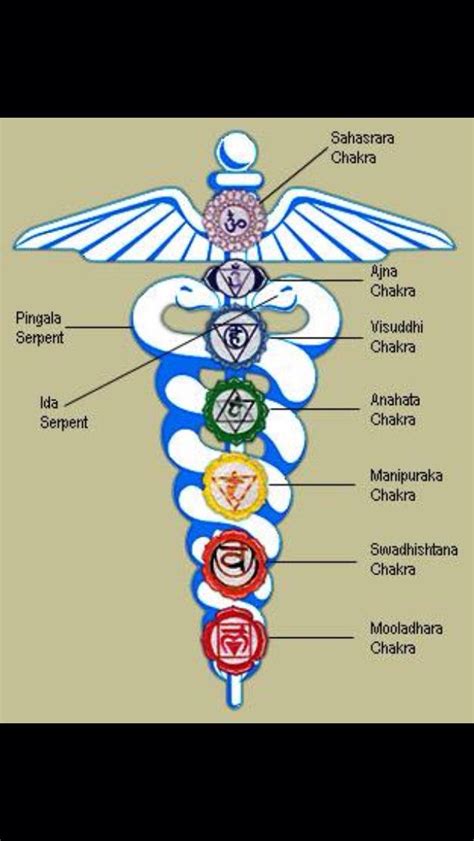 The great serpent in norse mythology Chakra, energy, kundalini | Yoga symbols, Kundalini awakening, Kundalini meditation