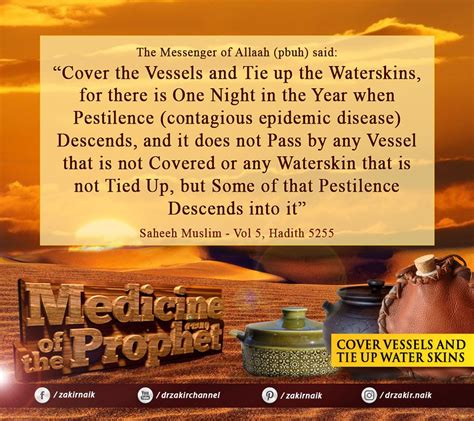 What trust in god, but tie your camel points out is that although god's will is supreme, we still have free will and the responsibility to decide our fates. Pin by Dr Zakir Naik on Medicine of the Prophet (pbuh ...