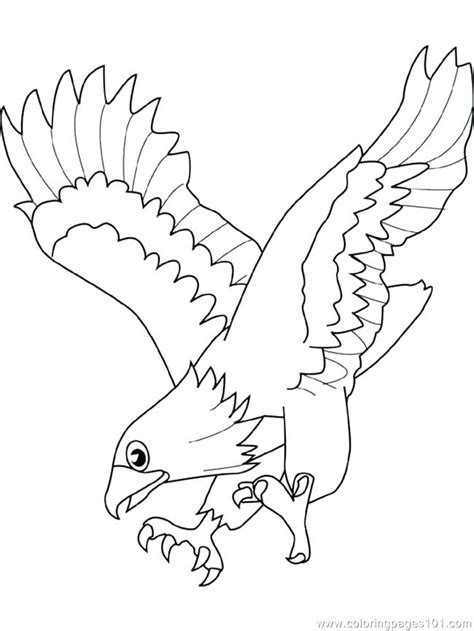 Hunting ospreys are a picture of. Osprey Drawing at GetDrawings | Free download