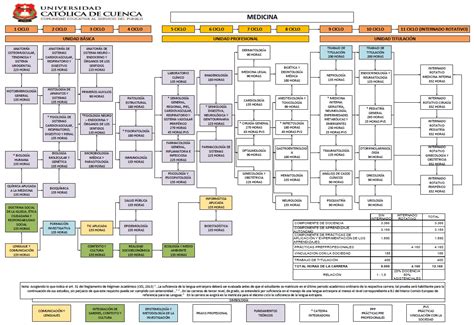 Universidad católica de cuenca students can get immediate homework help and access over 10+ documents, study resources, practice tests, essays universidad católica de cuenca documents (4). Carrera de Medicina - Universidad Católica de Cuenca