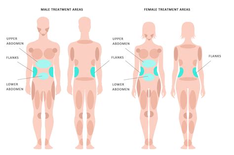 The area between the torso and the thigh, where the leg connects to the body, is called the inguinal canal or just inguinal. Abs/Flanks - KleinLipo - Liposuction Surgery of Orange County