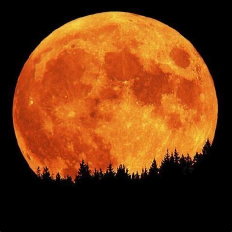 Der nächste vollmond ist am. 2012 Sternenlichter: Der Vollmond am 21. August 2013