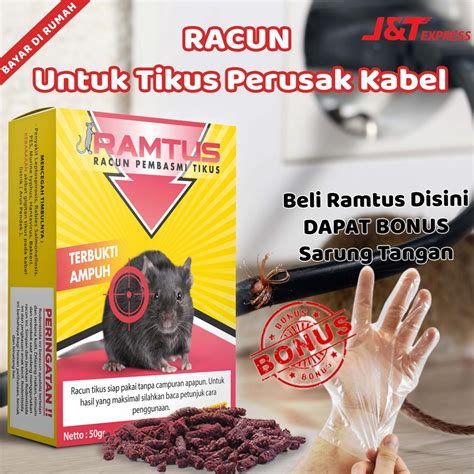 Sekat sumber makanan, minuman, dan sarang. Racun tikus Ramtus mati kering perangkap jebakan pengusir ...