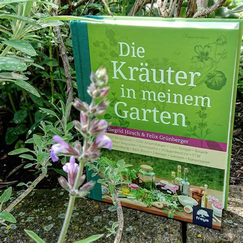 Check spelling or type a new query. Die Kräuter in meinem Garten - GeschichtenAgentin