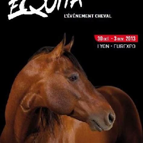 Le monde du cheval vous ouvre ses portes : Equita'Lyon : le salon du cheval en région Rhône-Alpes