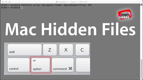 You may want to view hidden files on a mac to find out more information about your operating system. How to Show Hidden files on Mac OS - YouTube