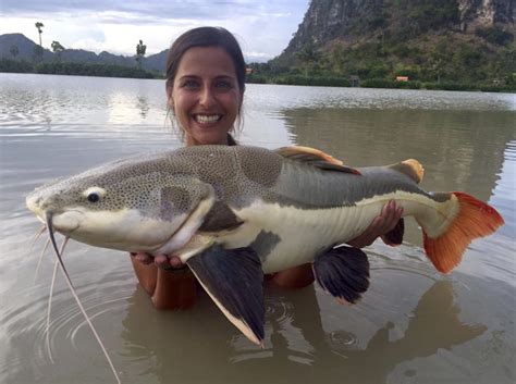 Jakub vágner vřesová 502 252 43 průhonice ič: Ladypower - Chub gewinnt Claudia Darga! | twelve ft. carpfishingmagazine