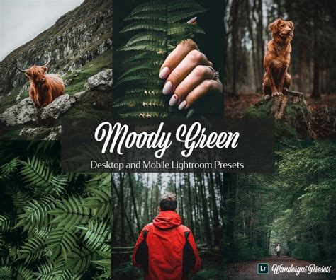 This moody green preset can be applied on photos like portrait photos , moody photoshoots , nature photoshoot photos , outdoor photography photos and adventure pictures etc. 10 Desktop and Mobile Lightroom Presets Moody Green ...