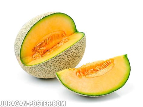 Gambar buah semangka | untuk anda sangat menyukai buah semangka segar, atau semangka mampu merambat hingga belasan meter. Melon - Jual Poster di Juragan Poster