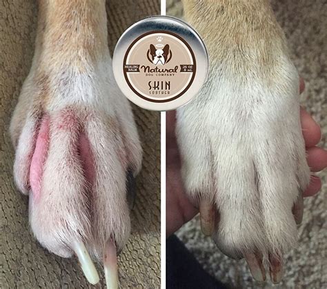 Yeast infection on dog paws: "The skin soother has worked fantastically! Not only did ...