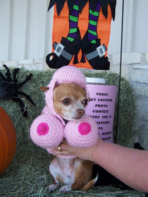 Do you want your pet here? We have a Winner for our Halloween Pet Photo Contest ...