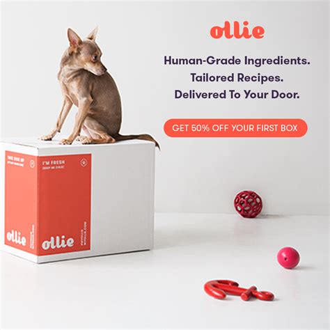 And big lots have deals for pet food products posted by our community members. Ollie Pets Coupons & Promo Codes | Coupons, Pets, Perfect ...