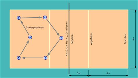 The typical dodgeball court is about the size of a small volleyball court, with a centerline and 2 sidelines. Volleyball regeln - Schwimmbadtechnik