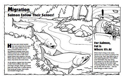 Many are probably available at your. Coloring Pages - Advent Beliefs | Fish coloring page ...