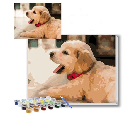 Email a good quality photo and we''ll make you a kit. Personalized Pet Paint By Numbers Kit