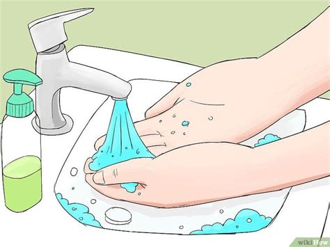 Remove needles from your clothes and shoes. Image titled Remove Cactus Needles Step 12 | Cactus, How ...