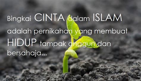 Last updated on march 30, 2020 by tongkrongan islami. Kata Kata Bijak Cinta dan Kehidupan Islami | Balak Eseh