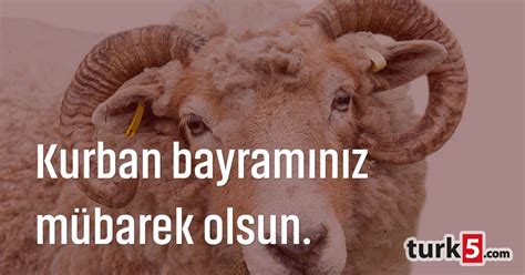 Bir kurban bayramına daha erişmiş olmanın bahtiyarlık ve heyecanını yaşıyoruz. Kurban Bayramınız mübarek olsun › turk5 forumlar