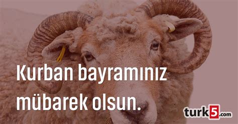 Bir kurban bayramına daha erişmiş olmanın bahtiyarlık ve heyecanını yaşıyoruz. Kurban Bayramınız mübarek olsun › turk5 forumlar