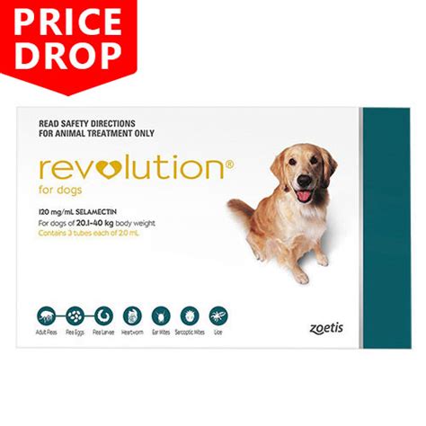 Flexibility of your neck and back can decrease due to as, and lead to morning stiffness, difficulty sleeping and inability to do normal daily activities such as getting dressed or bathing. Revolution For Dogs