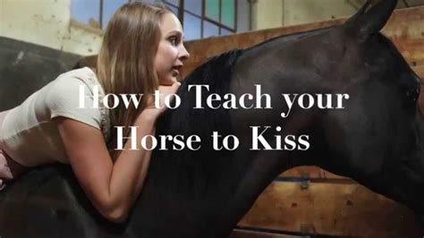Get immediate access to our course. How to Teach your Horse to Kiss - YouTube