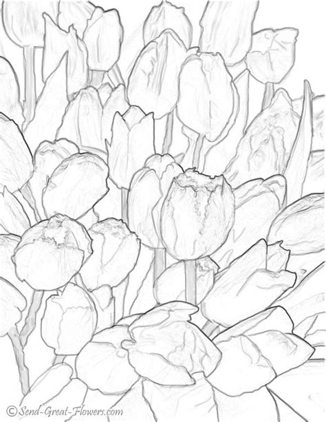 Free for commercial use no attribution required high quality images. Tulip Coloring Pages - Coloring Home