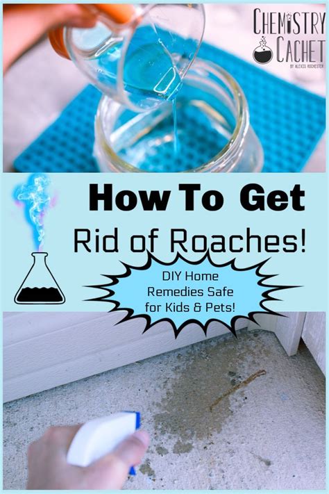 Cleaning the car routinely is the best way to stave off cockroaches. How to Get Rid of Roaches Based on Science | Home remedies ...