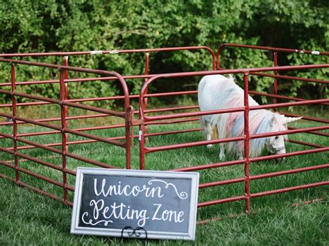 U nas możesz oglądać najlepsze filmy związane z human petting zoo. A Unicorn Petting Station Took This Wedding Over the Top ...