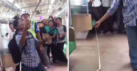 Aksi Bunuh Ular Dalam Tren Guna Tangan Aje - NORTH BORNEO BLOG