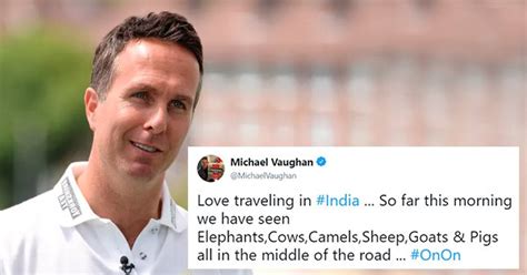 Miguel, or michael is a kitten that appears to be standing in a video. Michael Vaughan Tweeted About Stray Animals On Indian ...