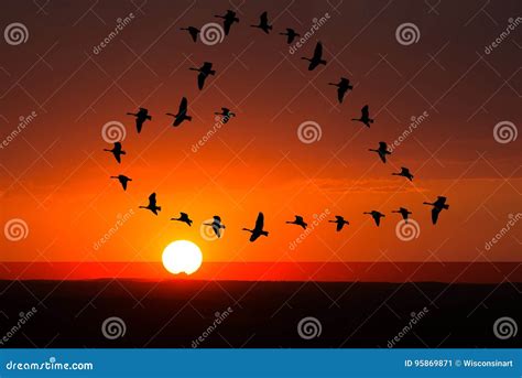 Lever De Soleil, Amour De Coucher Du Soleil, Romance, Oiseaux Image ...