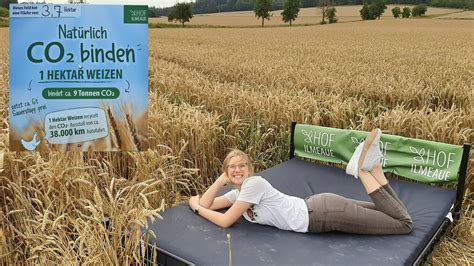 Etwas später lag ihr dreirad im gras, Das Bett im Kornfeld und die Bank bei Esel und Huhn ...