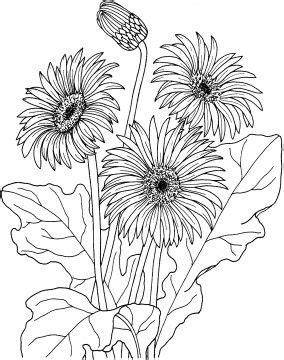 Make a wish and this bonsaï will grant it after some colors ! Daisy Flower coloring page | Super Coloring | Daisy ...