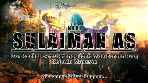 Nabi sulaiman adalah salah seorang putera nabi daud. KISAH NABI SULAIMAN AS DAN SEEKOR SEMUT YANG BERTAWAKAL ...