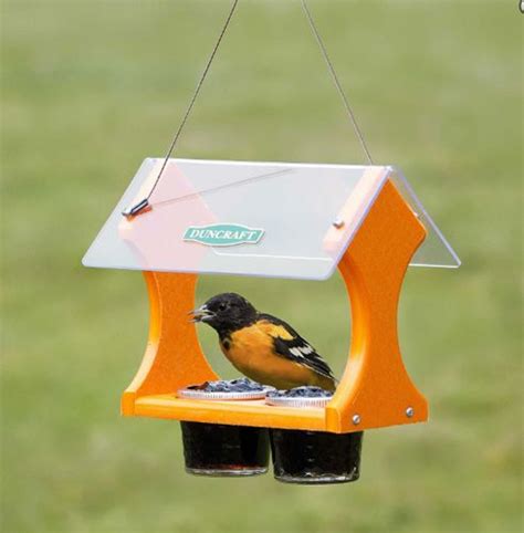 However you can still try them because. Eco-Jelly Oriole Feeder featuring two side-by-side jars ...