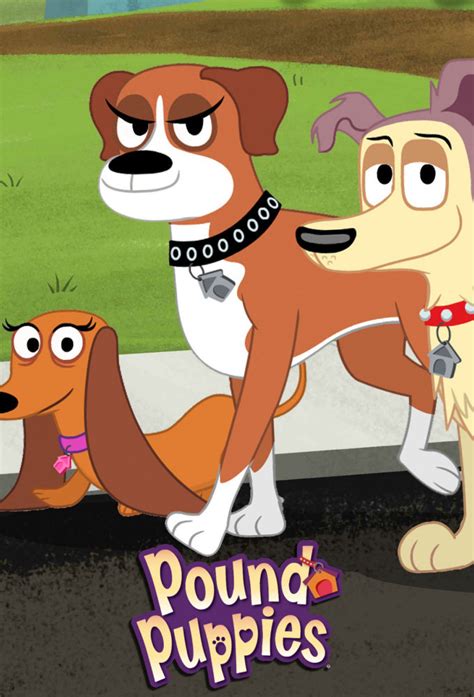It is the second series, right after the first series, to adapt the pound puppies into a cartoon. Pound Puppies (2010) - TheTVDB.com