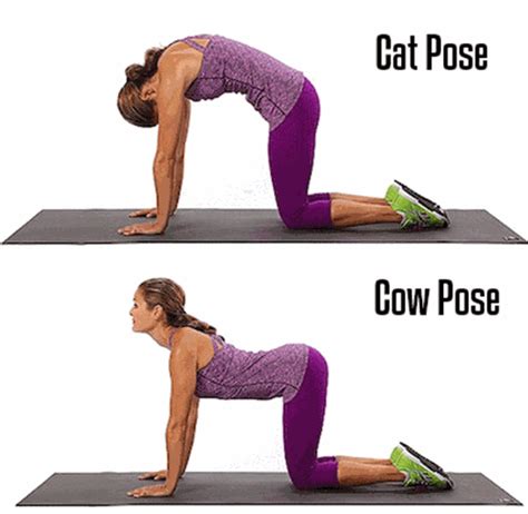 Gently exhale and contract your abdominal muscles, pushing downward (cow) phase: 5 posizioni yoga per caricarvi di energia la mattina ...