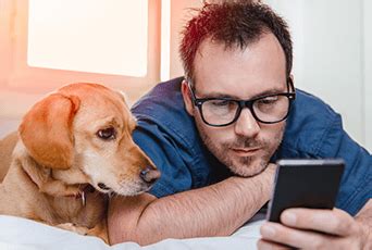 Our pharmacy team can contact your vet for a new prescription or your current pharmacy to transfer a pet prescription. Buy Pet Meds Online at Best Prices | Pet Pharmacy ...