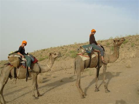 4 years ago4 years ago. Lesley, me, camel King and camel Michael | Photo