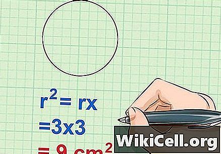 We did not find results for: Kira luas - Tips - 2021