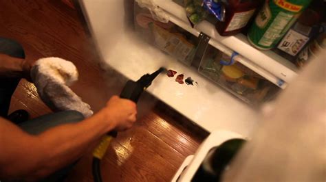 Specializes in importing and exporting/ distributing vapor steam and other cleaning systems. How to Steam Clean Refrigerator and Freezer - Daimer Steam ...