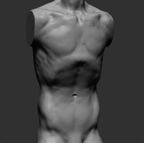 We did not find results for: 3D model Male Torso v2 | CGTrader