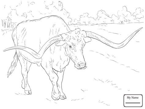 The youngsters can enjoy texas longhorns color pages, math worksheets, alphabet worksheets, coloring worksheets and drawing worksheets. Bucking Bull Coloring Pages at GetColorings.com | Free ...