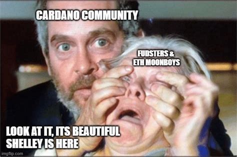 All templates/the hangover meme, meme when trying to understand, alan hangover meme/meme: The home of Cardano