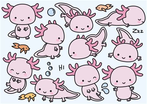 Begin by drawing the features of the salamander's face. axolotl | Kawaii clipart, Cute doodles, Axolotl cute