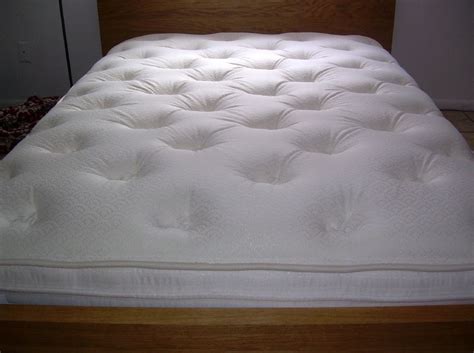 They survive on the blood of humans and animals, after feasting on their victim, the body becomes engorged with blood and will take on a more red tone. File:Mattress1.jpg - Wikimedia Commons