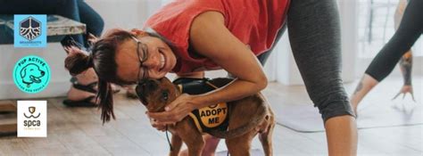 No dogs available that meet your criteria. Rescue Dog Yoga with Pup Active and SPCA Tampa Bay, St ...