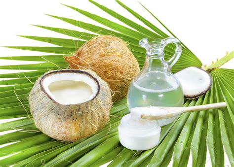 Wijen putih•minyak kelapa non rbd bisa ganti minyak apapun. Tips dan Cara Membuat Minyak Kelapa Murni VCO Sendiri di ...